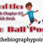 Bihar Board, Central Idea Class 10th, Central Idea Class 10th – The Ball Poem, Central Idea Class 10th – the ball poem | john berryman, central idea of the ball poem, John Berryman, MP Board, Prose Works, the ball poem central idea short, the ball poem poetic devices, the ball poem summary, UP Board